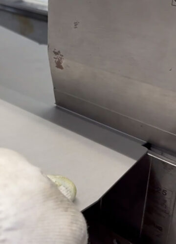 Piegatura
